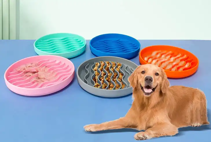 Best Dog Slow Feeder: Choosing the Right Bowl for Your Pet